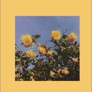 Meet your Posher, Ella